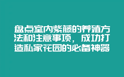盘点室内紫藤的养殖方法和注意事项，成功打造私家花园的必备神器！-会东网