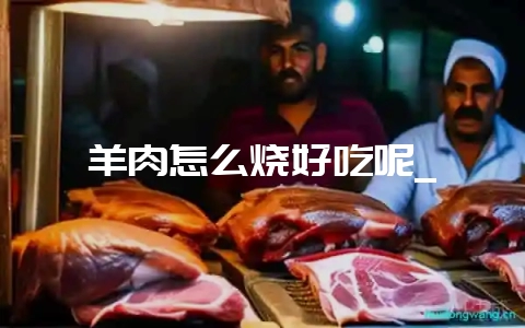 羊肉怎么烧好吃呢_-会东网