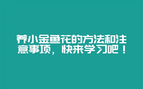 养小金鱼花的方法和注意事项,快来学习吧!插图 养小金鱼花的方法和注意事项,快来学习吧!插图
