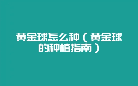 黄金球怎么种（黄金球的种植指南）-会东网