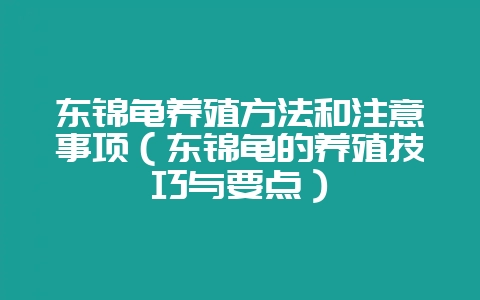 东锦龟养殖方法和注意事项（东锦龟的养殖技巧与要点）-会东网