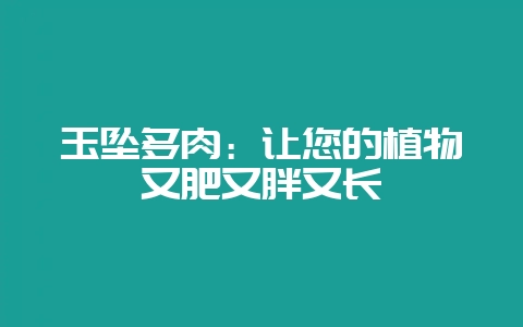 玉坠多肉：让您的植物又肥又胖又长-会东网