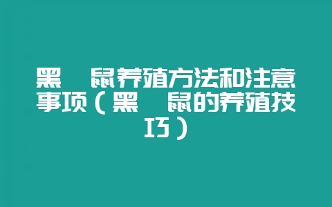 黑豚鼠养殖方法和注意事项（黑豚鼠的养殖技巧）-会东网
