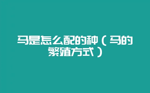马是怎么配的种（马的繁殖方式）-会东网