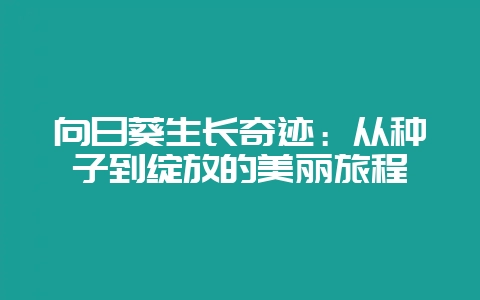 向日葵生长奇迹：从种子到绽放的美丽旅程-会东网
