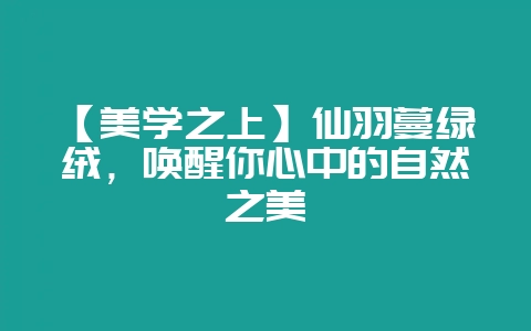 【美学之上】仙羽蔓绿绒，唤醒你心中的自然之美-会东网