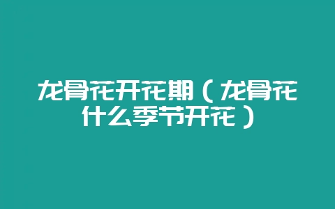 龙骨花开花期（龙骨花什么季节开花）-会东网