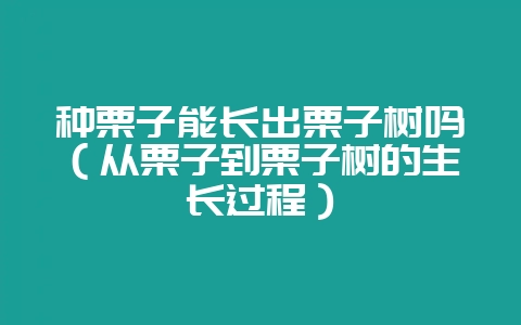 种栗子能长出栗子树吗（从栗子到栗子树的生长过程）-会东网
