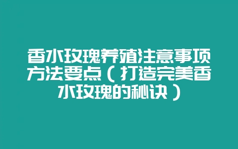 香水玫瑰养殖注意事项方法要点(打造完美香水玫瑰的秘诀)插图 香水玫瑰养殖注意事项方法要点(打造完美香水玫瑰的秘诀)插图
