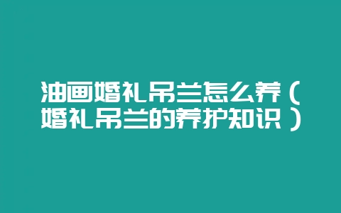 油画婚礼吊兰怎么养（婚礼吊兰的养护知识）-会东网