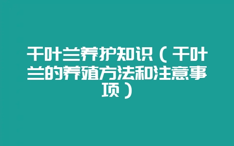 千叶兰养护知识（千叶兰的养殖方法和注意事项）-会东网