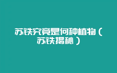 苏铁究竟是何种植物（苏铁揭秘）-会东网