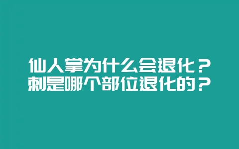 仙人掌为什么会退化？刺是哪个部位退化的？-会东网
