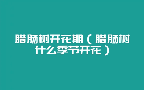 腊肠树开花期(腊肠树什么季节开花)-会东网
