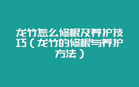 龙竹怎么修根及养护技巧（龙竹的修根与养护方法）-会东网