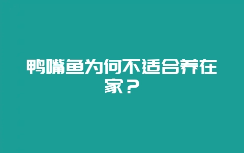 鸭嘴鱼为何不适合养在家？-会东网