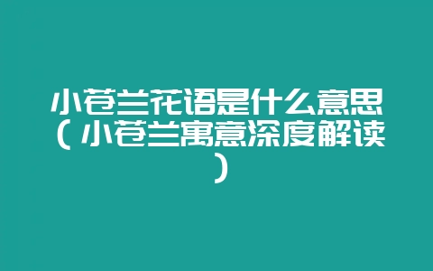 小苍兰花语是什么意思（小苍兰寓意深度解读）-会东网