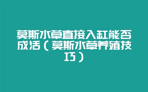 莫斯水草直接入缸能否成活（莫斯水草养殖技巧）-会东网