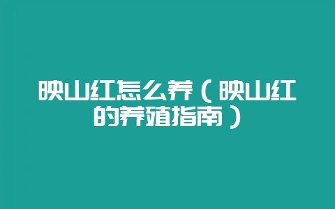 映山红怎么养（映山红的养殖指南）-会东网