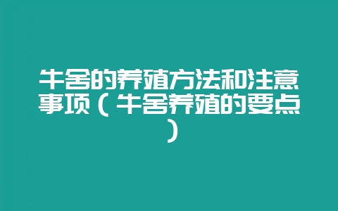 牛舍的养殖方法和注意事项（牛舍养殖的要点）-会东网