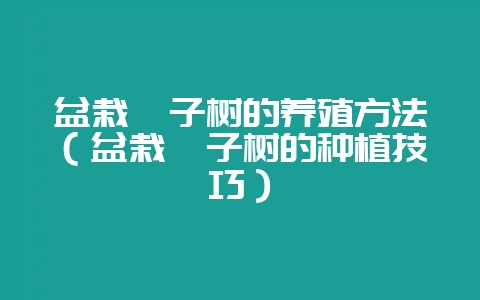 盆栽柚子树的养殖方法(盆栽柚子树的种植技巧)插图 盆栽柚子树的养殖方法(盆栽柚子树的种植技巧)插图