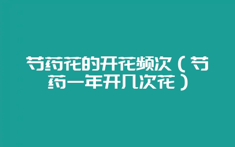 芍药花的开花频次（芍药一年开几次花）-会东网