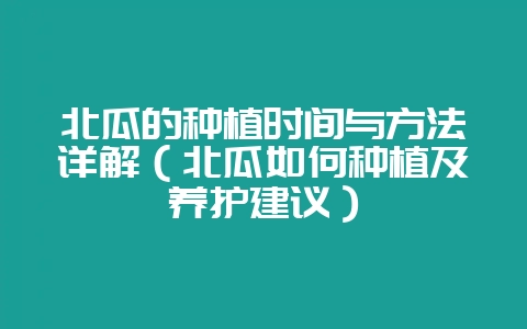 北瓜的种植时间与方法详解（北瓜如何种植及养护建议）-会东网