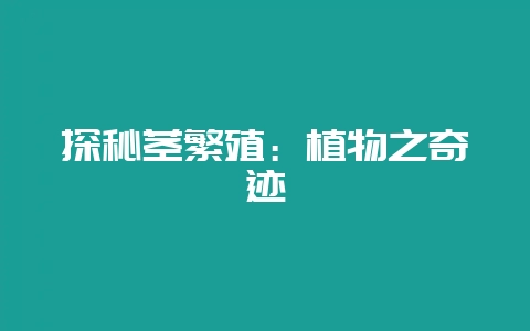 探秘茎繁殖:植物之奇迹插图 探秘茎繁殖:植物之奇迹插图