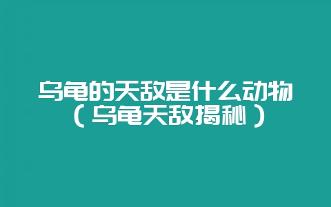 乌龟的天敌是什么动物（乌龟天敌揭秘）-会东网