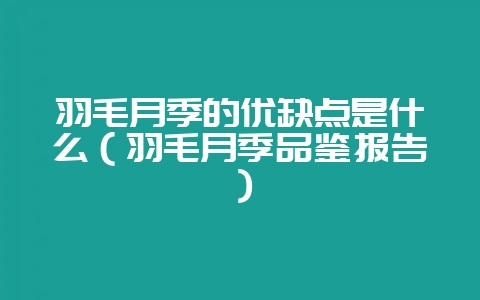 羽毛月季的优缺点是什么（羽毛月季品鉴报告）-会东网