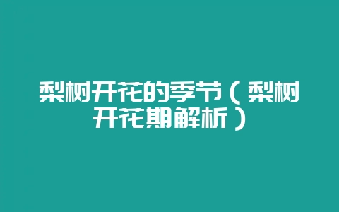 梨树开花的季节(梨树开花期解析)插图 梨树开花的季节(梨树开花期解析)插图
