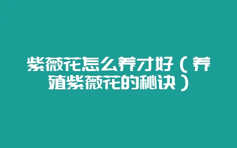 紫薇花怎么养才好（养殖紫薇花的秘诀）-会东网