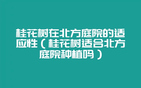 桂花树在北方庭院的适应性（桂花树适合北方庭院种植吗）-会东网