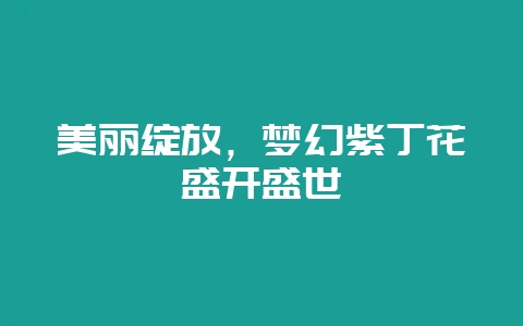 美丽绽放，梦幻紫丁花盛开盛世-会东网