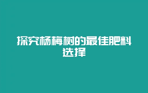 探究杨梅树的最佳肥料选择-会东网