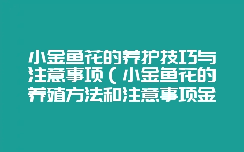 小金鱼花的养护技巧与注意事项(小金鱼花的养殖方法和注意事项金插图 小金鱼花的养护技巧与注意事项(小金鱼花的养殖方法和注意事项金插图