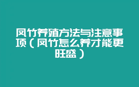 凤竹养殖方法与注意事项（凤竹怎么养才能更旺盛）-会东网