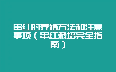 串红的养殖方法和注意事项(串红栽培完全指南)-会东网