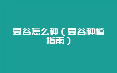 夏谷怎么种(夏谷种植指南)插图 夏谷怎么种(夏谷种植指南)插图