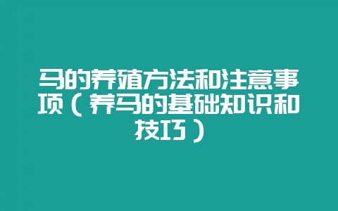 马的养殖方法和注意事项（养马的基础知识和技巧）-会东网