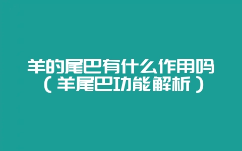 羊的尾巴有什么作用吗(羊尾巴功能解析)插图 羊的尾巴有什么作用吗(羊尾巴功能解析)插图