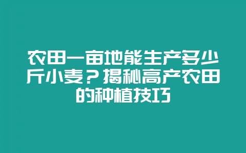 农田一亩地能生产多少斤小麦？揭秘高产农田的种植技巧-会东网