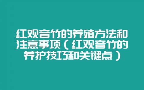 红观音竹的养殖方法和注意事项（红观音竹的养护技巧和关键点）-会东网