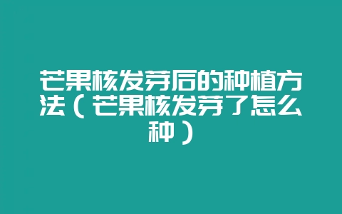 芒果核发芽后的种植方法(芒果核发芽了怎么种)-会东网