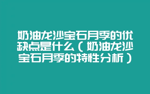 奶油龙沙宝石月季的优缺点是什么(奶油龙沙宝石月季的特性分析)插图 奶油龙沙宝石月季的优缺点是什么(奶油龙沙宝石月季的特性分析)插图