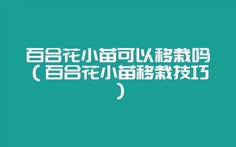 百合花小苗可以移栽吗（百合花小苗移栽技巧）-会东网