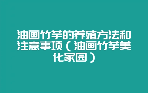 油画竹芋的养殖方法和注意事项（油画竹芋美化家园）-会东网