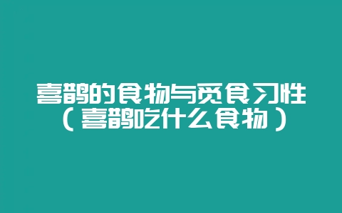 喜鹊的食物与觅食习性（喜鹊吃什么食物）-会东网