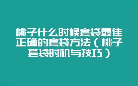 桃子什么时候套袋最佳正确的套袋方法(桃子套袋时机与技巧)插图 桃子什么时候套袋最佳正确的套袋方法(桃子套袋时机与技巧)插图