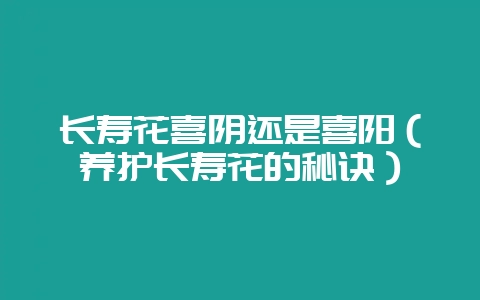 长寿花喜阴还是喜阳（养护长寿花的秘诀）-会东网
